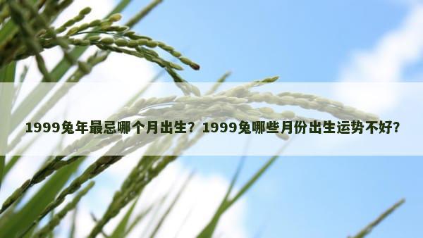 1999兔年最忌哪个月出生？1999兔哪些月份出生运势不好？