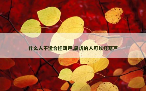 什么人不适合挂葫芦,属虎的人可以挂葫芦