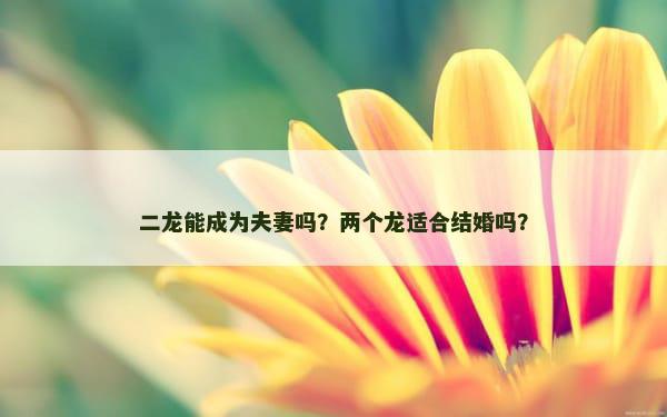 二龙能成为夫妻吗？两个龙适合结婚吗？