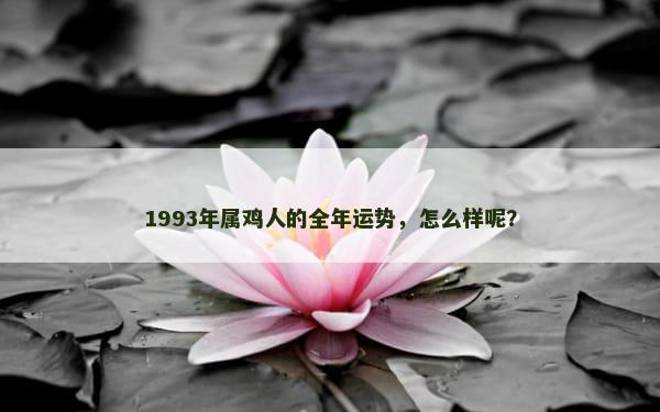 1993年属鸡人的全年运势，怎么样呢？