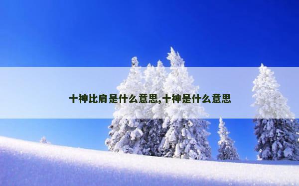 十神比肩是什么意思,十神是什么意思