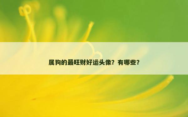 属狗的最旺财好运头像？有哪些？