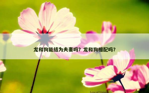 龙和狗能结为夫妻吗？龙和狗相配吗？