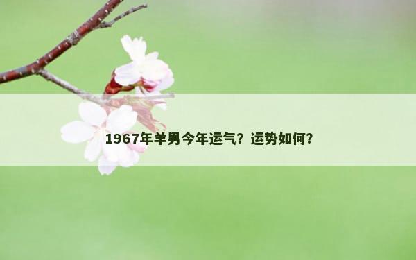 1967年羊男今年运气？运势如何？