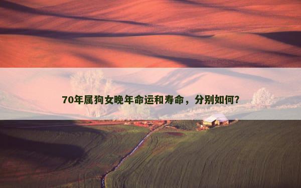 70年属狗女晚年命运和寿命，分别如何？