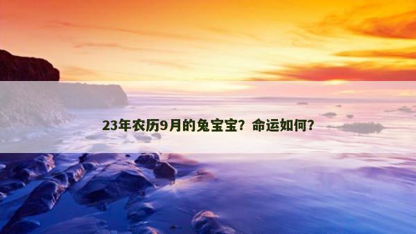 23年农历9月的兔宝宝？命运如何？