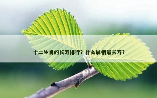 十二生肖的长寿排行？什么属相最长寿？