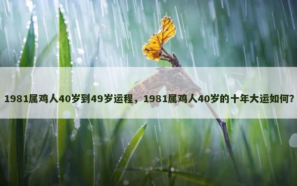 1981属鸡人40岁到49岁运程，1981属鸡人40岁的十年大运如何？