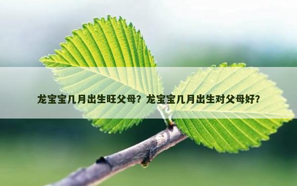 龙宝宝几月出生旺父母？龙宝宝几月出生对父母好？