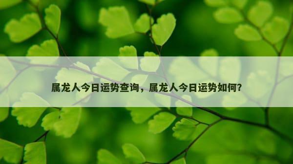 属龙人今日运势查询，属龙人今日运势如何？