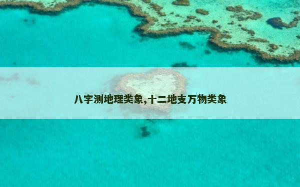 八字测地理类象,十二地支万物类象