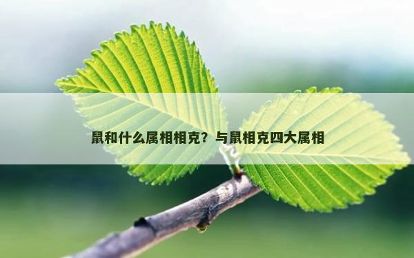 鼠和什么属相相克？与鼠相克四大属相