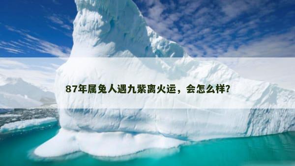 87年属兔人遇九紫离火运，会怎么样？