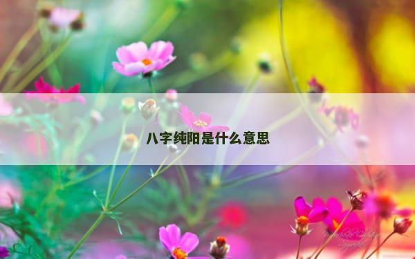 八字纯阳是什么意思