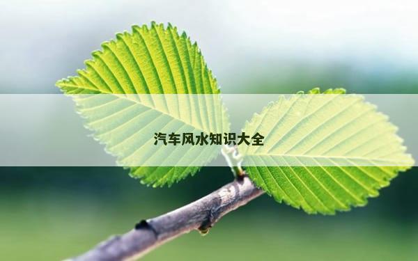 汽车风水知识大全