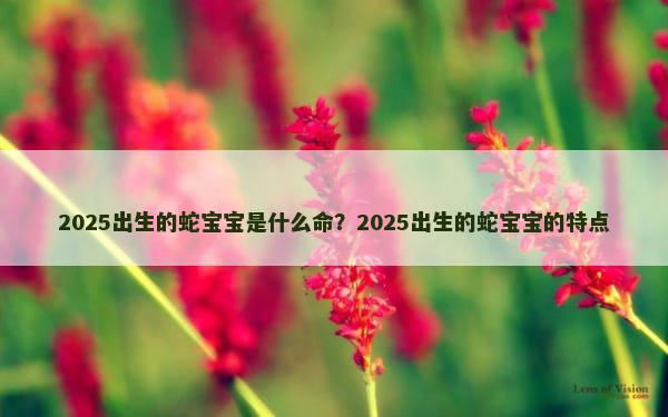 2025出生的蛇宝宝是什么命？2025出生的蛇宝宝的特点