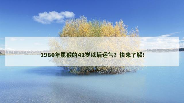 1980年属猴的42岁以后运气？快来了解！