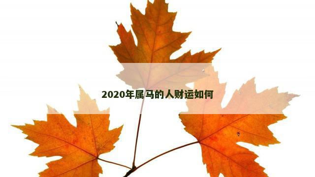 2020年属马的人财运如何