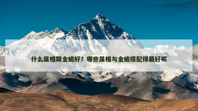 什么属相跟金蟾好？哪些属相与金蟾搭配得最好呢