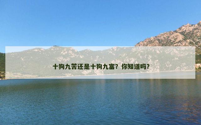 十狗九苦还是十狗九富？你知道吗？