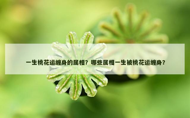 一生桃花运缠身的属相？哪些属相一生被桃花运缠身？