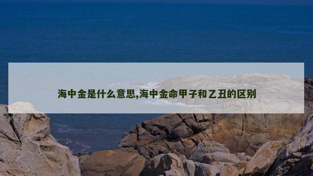 海中金是什么意思,海中金命甲子和乙丑的区别