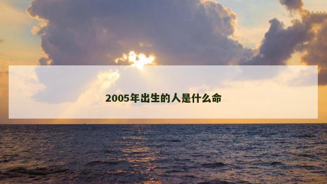 2005年出生的人是什么命