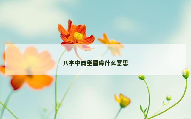 八字中日坐墓库什么意思