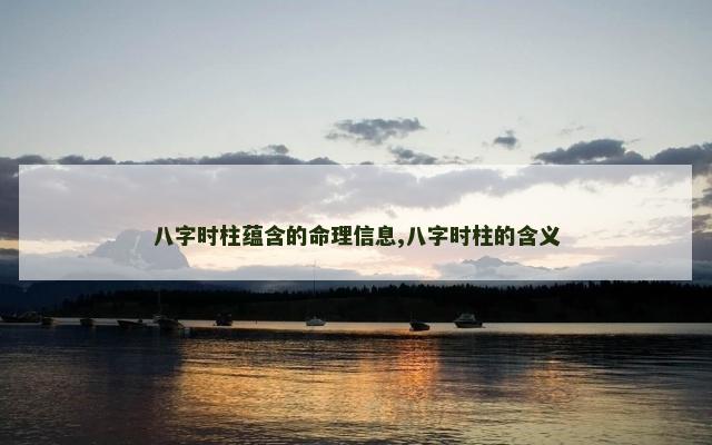 八字时柱蕴含的命理信息,八字时柱的含义