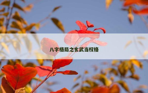 八字格局之玄武当权格