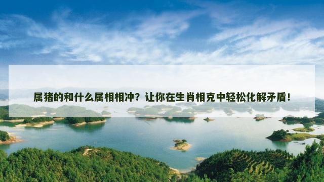 属猪的和什么属相相冲？让你在生肖相克中轻松化解矛盾！