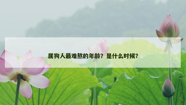 属狗人最难熬的年龄？是什么时候？