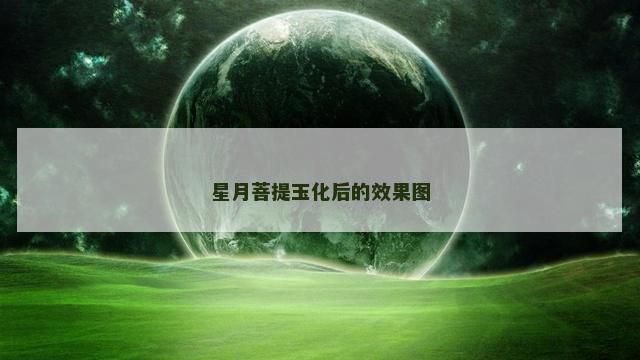 星月菩提玉化后的效果图