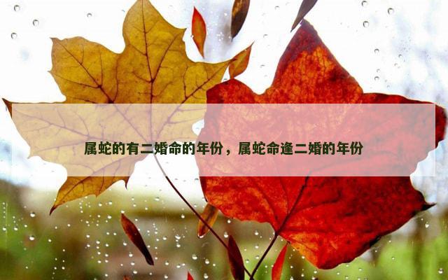 属蛇的有二婚命的年份，属蛇命逢二婚的年份