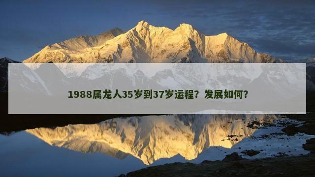 1988属龙人35岁到37岁运程？发展如何？