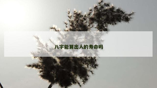 八字能算出人的寿命吗