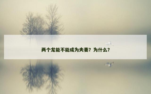 两个龙能不能成为夫妻？为什么？