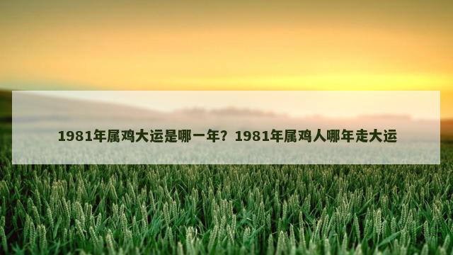 1981年属鸡大运是哪一年？1981年属鸡人哪年走大运