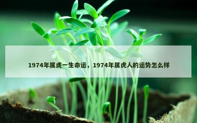 1974年属虎一生命运，1974年属虎人的运势怎么样