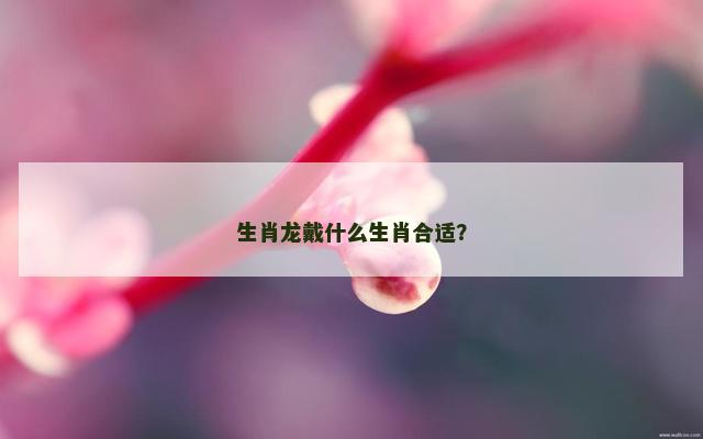 生肖龙戴什么生肖合适？