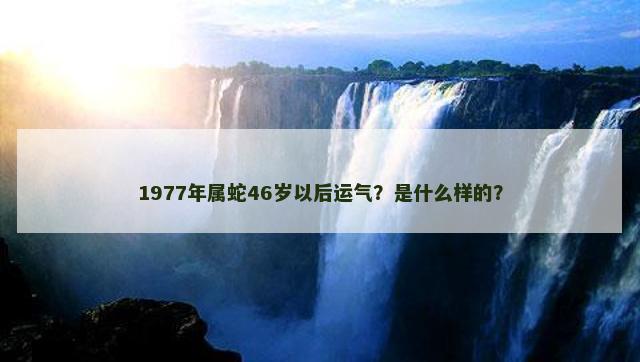 1977年属蛇46岁以后运气？是什么样的？