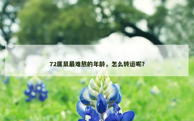 72属鼠最难熬的年龄，怎么转运呢？