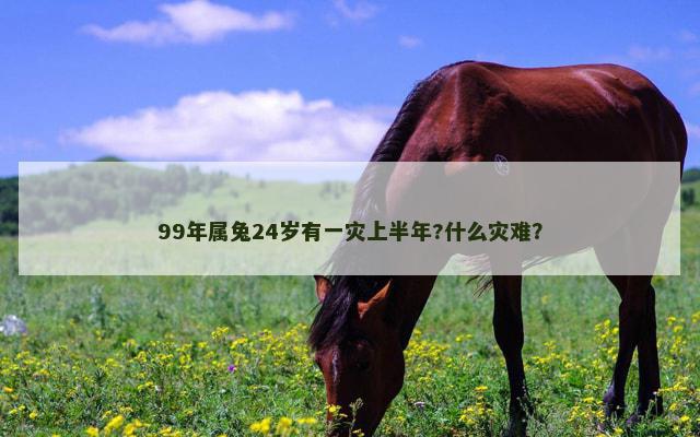 99年属兔24岁有一灾上半年?什么灾难？