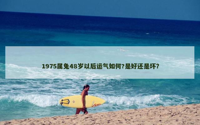 1975属兔48岁以后运气如何?是好还是坏？