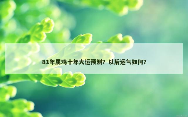 81年属鸡十年大运预测？以后运气如何？