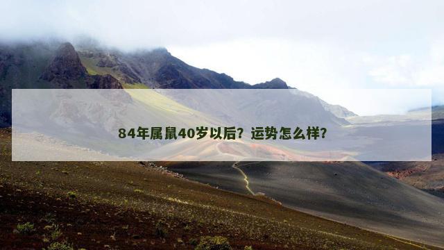 84年属鼠40岁以后？运势怎么样？